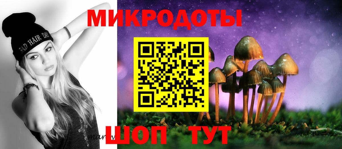 Псилоцибиновые грибы Psilocybine cubensis  Вход с VPN  Кыштым 